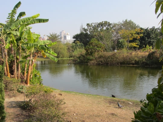 高雄中央公園 景觀湖