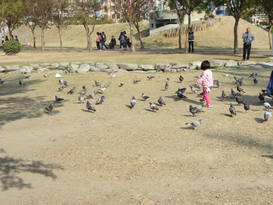 高雄中央公園