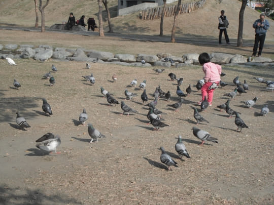 高雄中央公園