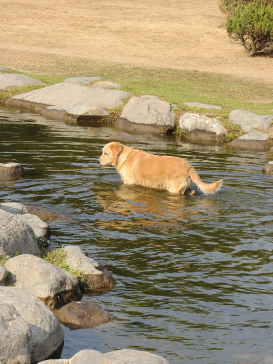 高雄中央公園